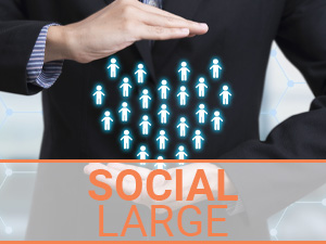 Social Media Marketing Agentur - Paket L